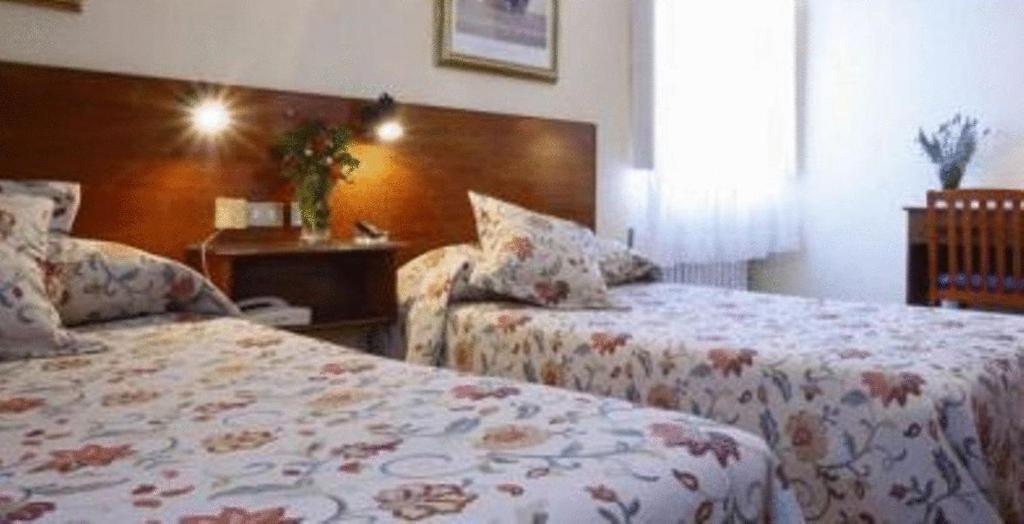Hotel Roman Castrillon